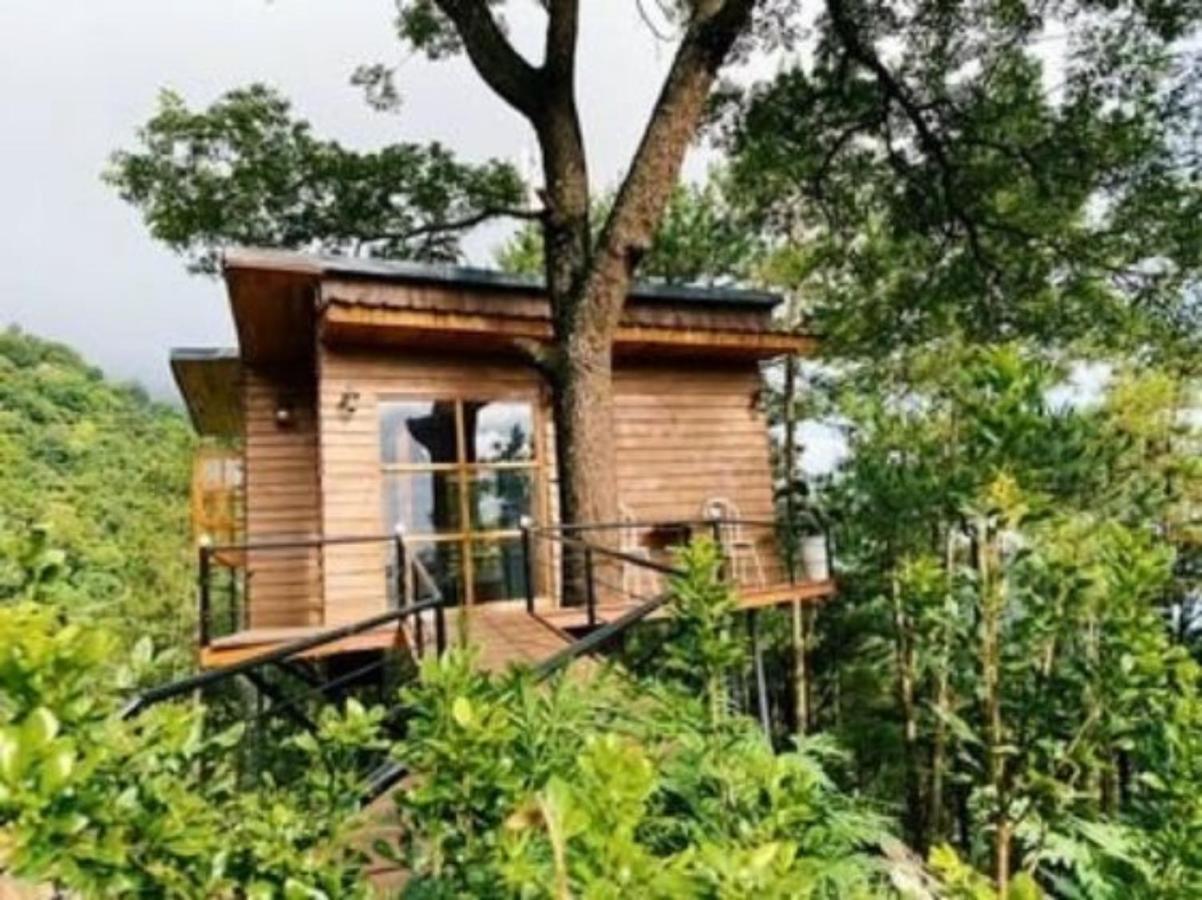 Chillout Village - Homestay Tam Đảo Hà Nội Ngoại thất bức ảnh