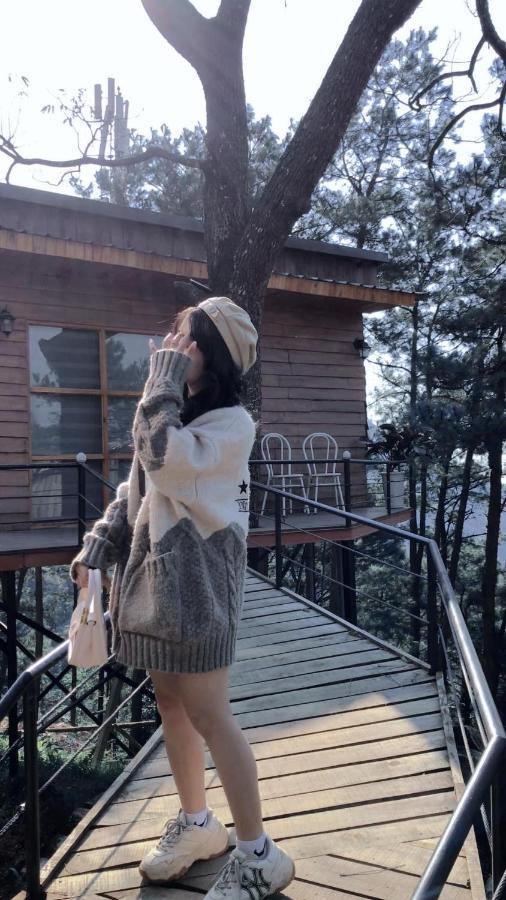 Chillout Village - Homestay Tam Đảo Hà Nội Ngoại thất bức ảnh